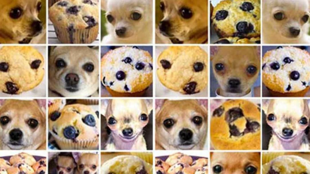 Steak, muffins and chihuahuas: the unkept promise of legal AI