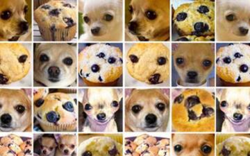 Steak muffins and chihuahuas The unkept promise of Legal AI
