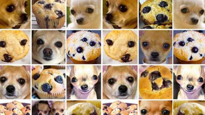 Steak muffins and chihuahuas The unkept promise of Legal AI