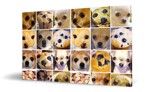 Chihuahua muffins legal ai